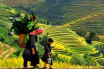 (Televisión) Promueven en Vietnam el turismo comunitario