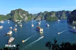 Jóvenes vietnamitas contribuyen al desarrollo del turismo cultural