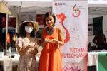 Imagen de Vietnam promocionada en festival multicultural en Alemania