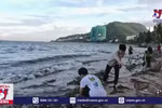 Club de voluntarios lidera los esfuerzos comunitarios para mantener limpias las playas de Vung Tau 
