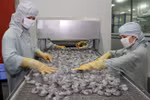 Asia será mercado emergente de consumo de camarones de Vietnam