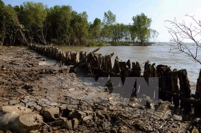 Provincia vietnamita necesita más inversiones para obras de irrigación ảnh 1 Provincia vietnamita necesita más inversiones para obras de irrigación ảnh 1