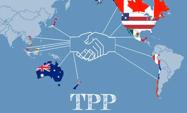 Gobierno vietnamita presentará TPP a la Asamblea Nacional ảnh 1