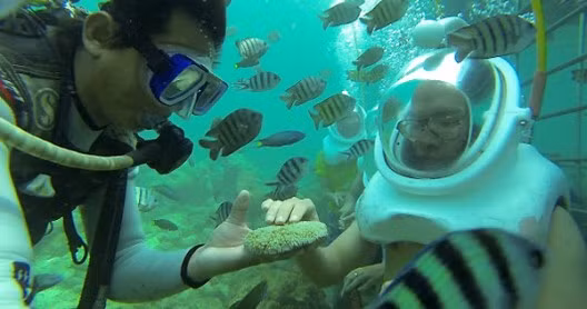 Inician tour de caminata submarina en Quang Nam ảnh 1
