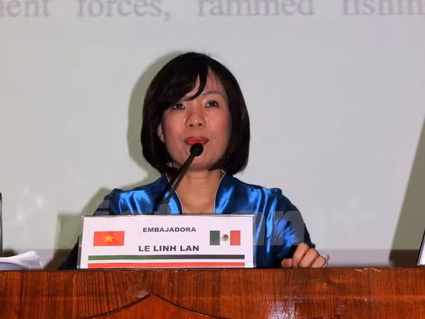 Efectúan en México charla sobre seguridad regional y disputas en Mar del Este ảnh 1
