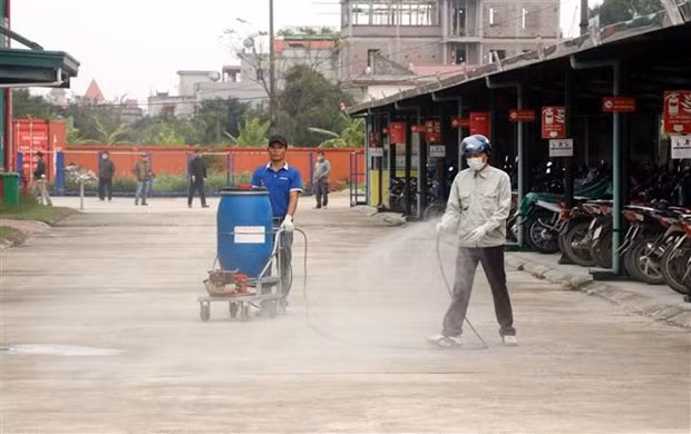 Lanzan en Vietnam sitio web y aplicación móvil sobre coronavirus ảnh 1