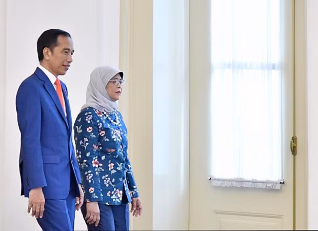 Impulsan Indonesia y Singapur cooperación multisectorial ảnh 1