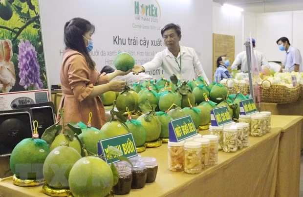 Acoge Vietnam exposición internacional sobre tecnología de producción y procesamiento hortofrutícola ảnh 1