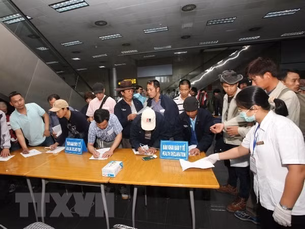 COVID-19: Presenta Vietnam aplicación móvil de auxilio a trabajadores en extranjero ảnh 1
