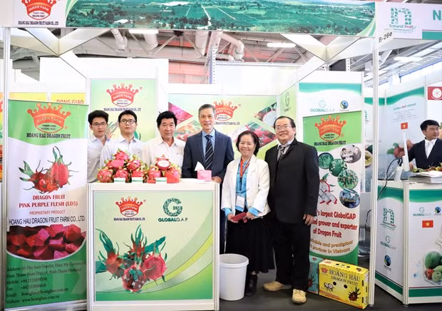 Empresas de Vietnam participan en Fruit Logistica 2020 ảnh 1