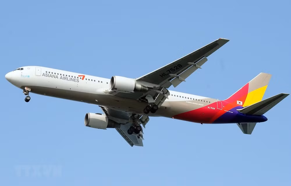Asiana Airlines de Corea del Sur reduce operaciones de vuelo ante expansión de Covid- 19 ảnh 1