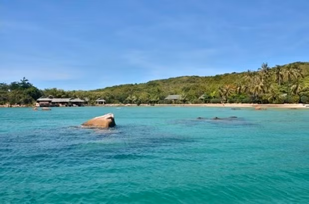 Isla vietnamita Ca Voi entre 10 principales destinos de buceo para 2020 ảnh 1