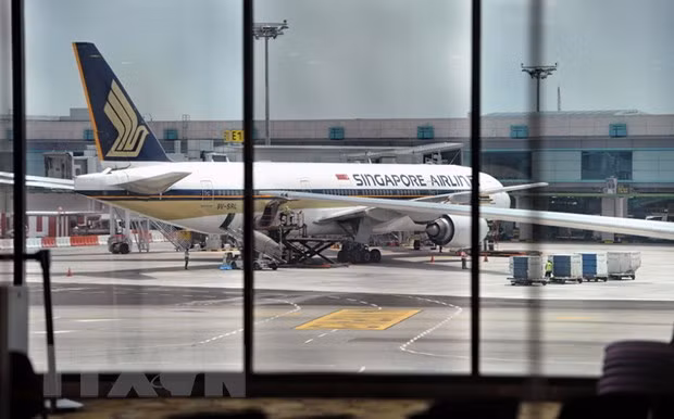 Singapore Airlines frena contrataciones ante riesgo del COVID-19 ảnh 1