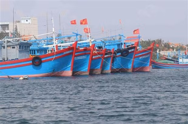 Vietnam se esmera en promover la pesca responsable y sostenible ảnh 1 Vietnam se esmera en promover la pesca responsable y sostenible ảnh 1