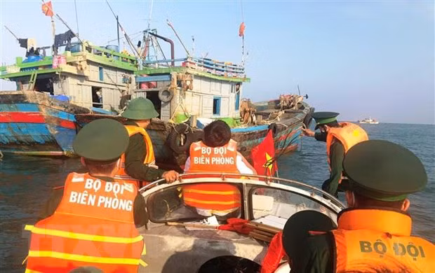 Empresas vietnamitas se comprometen a combatir la pesca ilegal ảnh 2 Empresas vietnamitas se comprometen a combatir la pesca ilegal ảnh 2