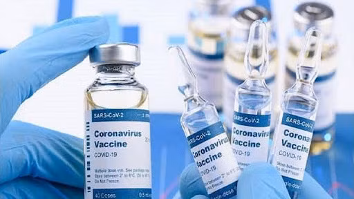 Vietnam destaca necesidad de distribución justa de vacunas contra el COVID-19 ảnh 1