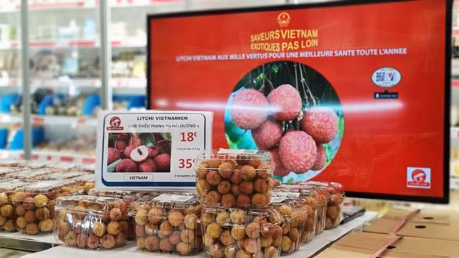Empresarios vietnamitas en el exterior por incrementar aportes a promoción de marca nacional ảnh 1