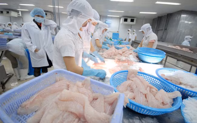 Ventas de productos acuáticos de Vietnam superarán ocho mil millones de dólares en 2021 ảnh 1