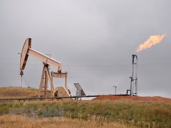 Vietnam busca reformar estrategia nacional de energía ảnh 1