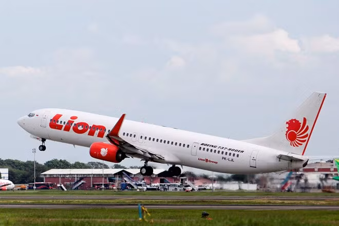 Al menos 10 pasajeros heridos en Indonesia por falsa alarma de bomba en avión ảnh 1