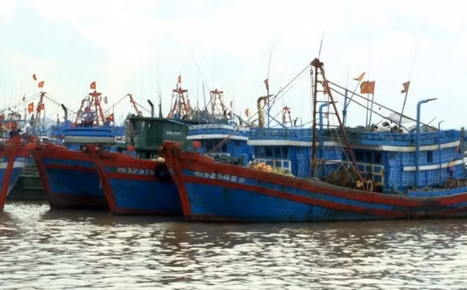 Vietnam y China realizan negociaciones sobre cooperación en el mar ảnh 1