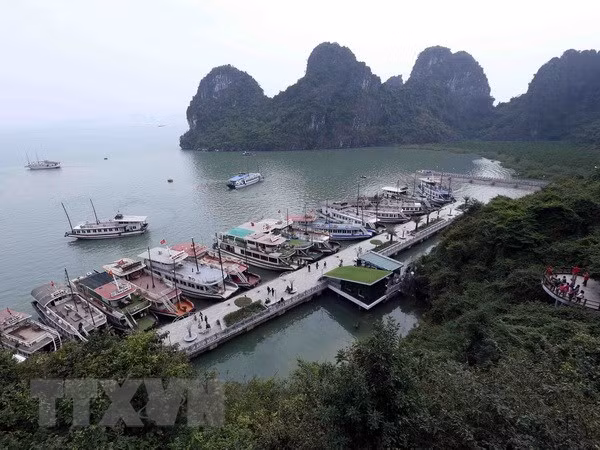 Vietnam lanzará campaña de limpieza de playas en zonas centrales ảnh 1