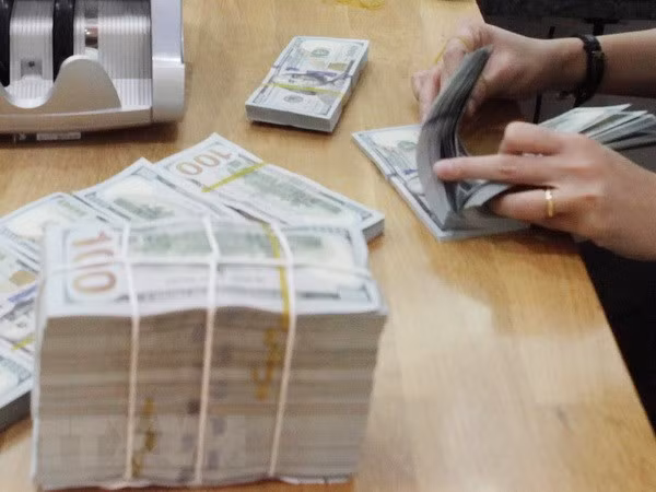 Reservas de divisas de Vietnam ascienden a 64 mil millones de dólares ảnh 1