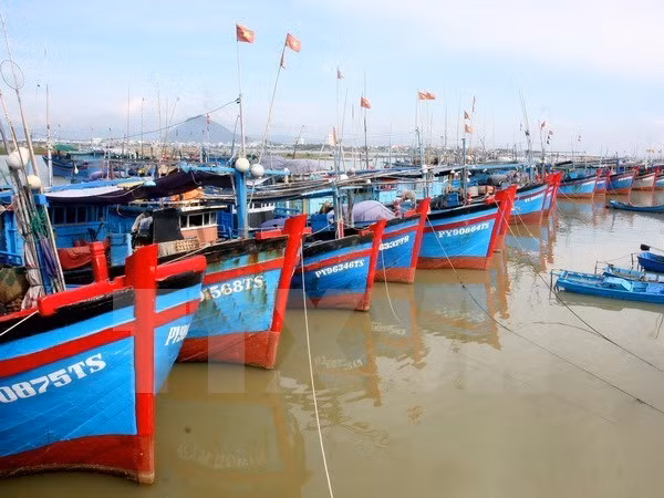 Global Policy destaca esfuerzos vietnamitas para controlar la pesca ilegal ảnh 1