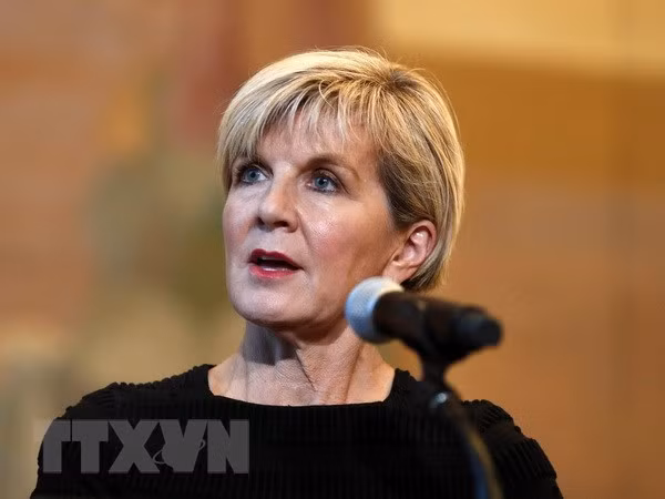Australia desea ampliar nexos de cooperación con Vietnam, dice canciller ảnh 1