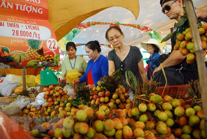 Festival de Frutas del Sur de Vietnam presentará la diversidad de productos locales ảnh 1 Festival de Frutas del Sur de Vietnam presentará la diversidad de productos locales ảnh 1