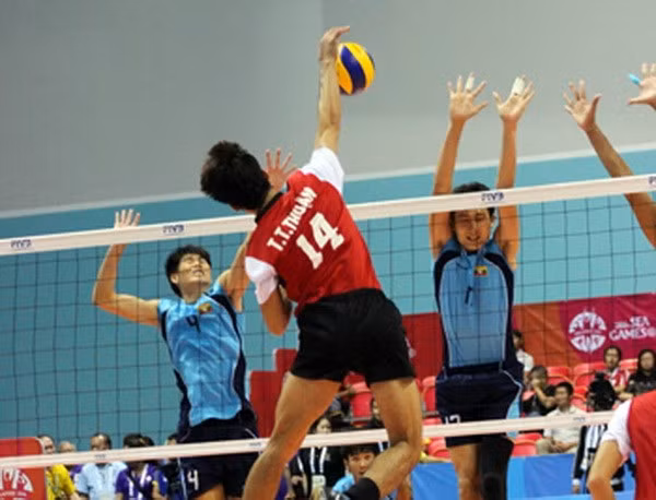 Celebrarán en Vietnam Copa internacional de voleibol ảnh 1