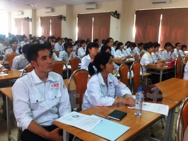 Vietnam eleva rol de sindicatos en asistencia a los trabajadores en ultramar ảnh 1