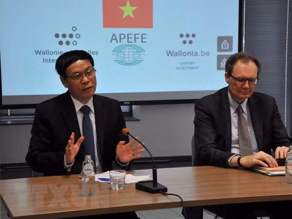 Promueven cooperación entre Vietnam y región Valona-Bruselas de Bélgica ảnh 1