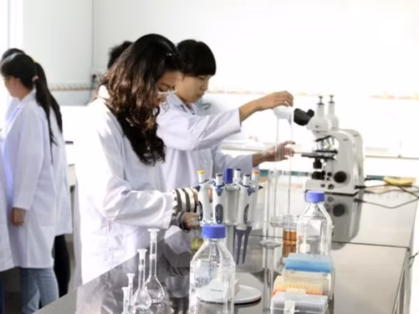Vietnamitas ganan premios en Concurso Internacional de Ciencias e Ingeniería ISEF 2018 ảnh 1 Vietnamitas ganan premios en Concurso Internacional de Ciencias e Ingeniería ISEF 2018 ảnh 1