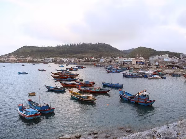 Vietnam lanza programa de solidaridad con pescadores nacionales ảnh 1 Vietnam lanza programa de solidaridad con pescadores nacionales ảnh 1