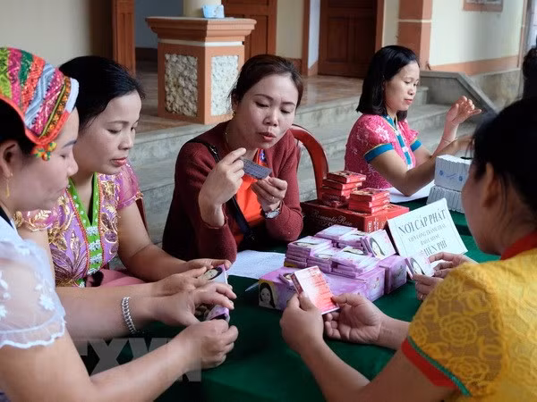 El 80,5 por ciento de las vietnamitas utilizan métodos anticonceptivos, según encuesta ảnh 1