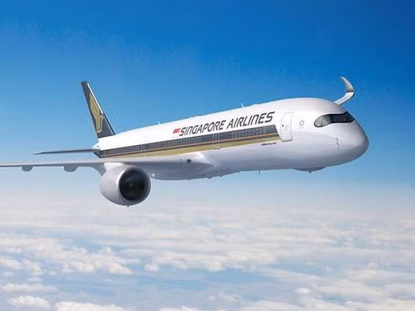 Aerolínea de Singapur inaugurará la ruta comercial más larga del mundo ảnh 1