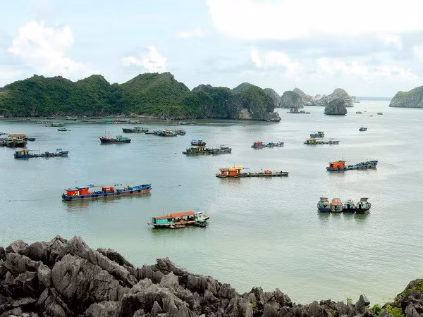 Efectuarán Feria Internacional de Turismo más antigua de ASEAN en Quang Ninh ảnh 1