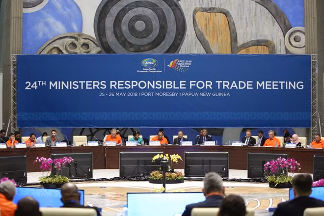 Ministros de Comercio de APEC no logran acuerdo de sistema de comercio multilateral ảnh 1