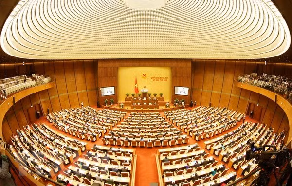 Parlamento de Vietnam debate borradores de Leyes sobre Denuncias y Competencia ảnh 1