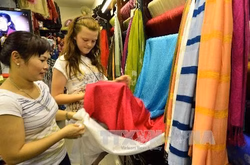 Artesana vietnamita convierte a gusanos de seda en tejedores ảnh 1