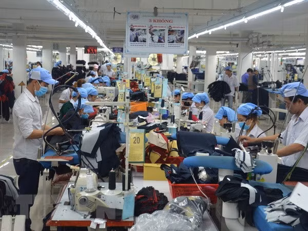 Ciudad Ho Chi Minh ofrece capacitación y oportunidades de trabajo para personas desempleadas ảnh 1