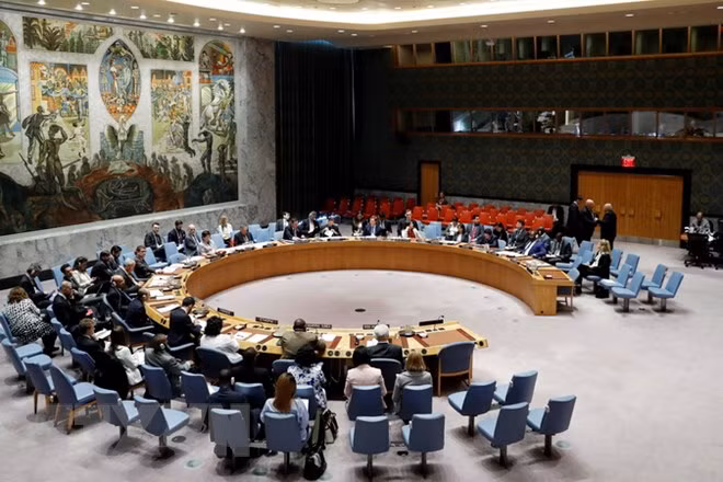 Vietnam, único representante de Asia-Pacífico para candidatura al Consejo de Seguridad de la ONU ảnh 1