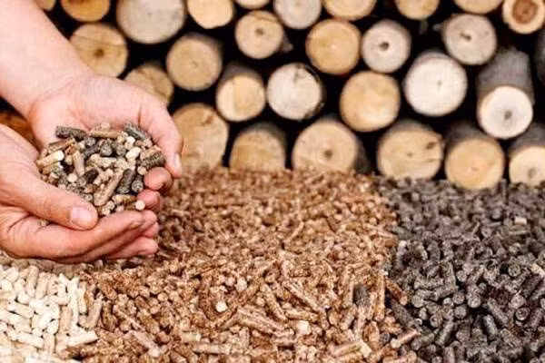 Exportaciones vietnamitas de productos de desecho forestal podrían recaudar fondo multimillonario ảnh 1