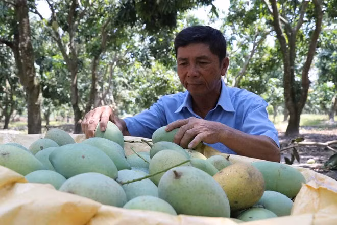 Vietnam convida a empresas suizas a invertir en agricultura ảnh 1 Vietnam convida a empresas suizas a invertir en agricultura ảnh 1