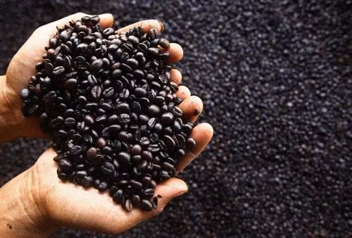 Nestlé inicia producción de tabletas de café comprimidas en Vietnam ảnh 1 Nestlé inicia producción de tabletas de café comprimidas en Vietnam ảnh 1