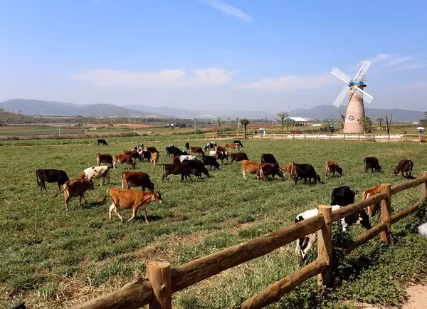 Agricultura orgánica en Vietnam logra crecimiento superior al promedio mundial ảnh 1