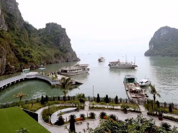 Sector turístico de Vietnam promueve la protección del medio ambiente ảnh 1