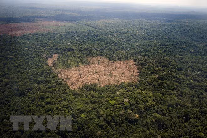 China y Camboya fortalecen cooperación en protección del medio ambiente ảnh 1