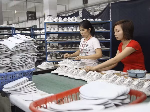 Vietnam y la India mantienen fuertes lazos en comercio de cuero y calzado ảnh 1